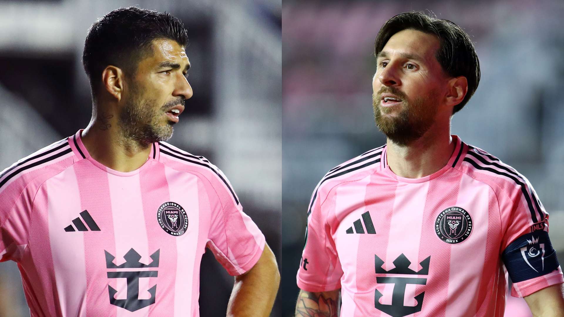 萄牙体育的 萄牙体育的